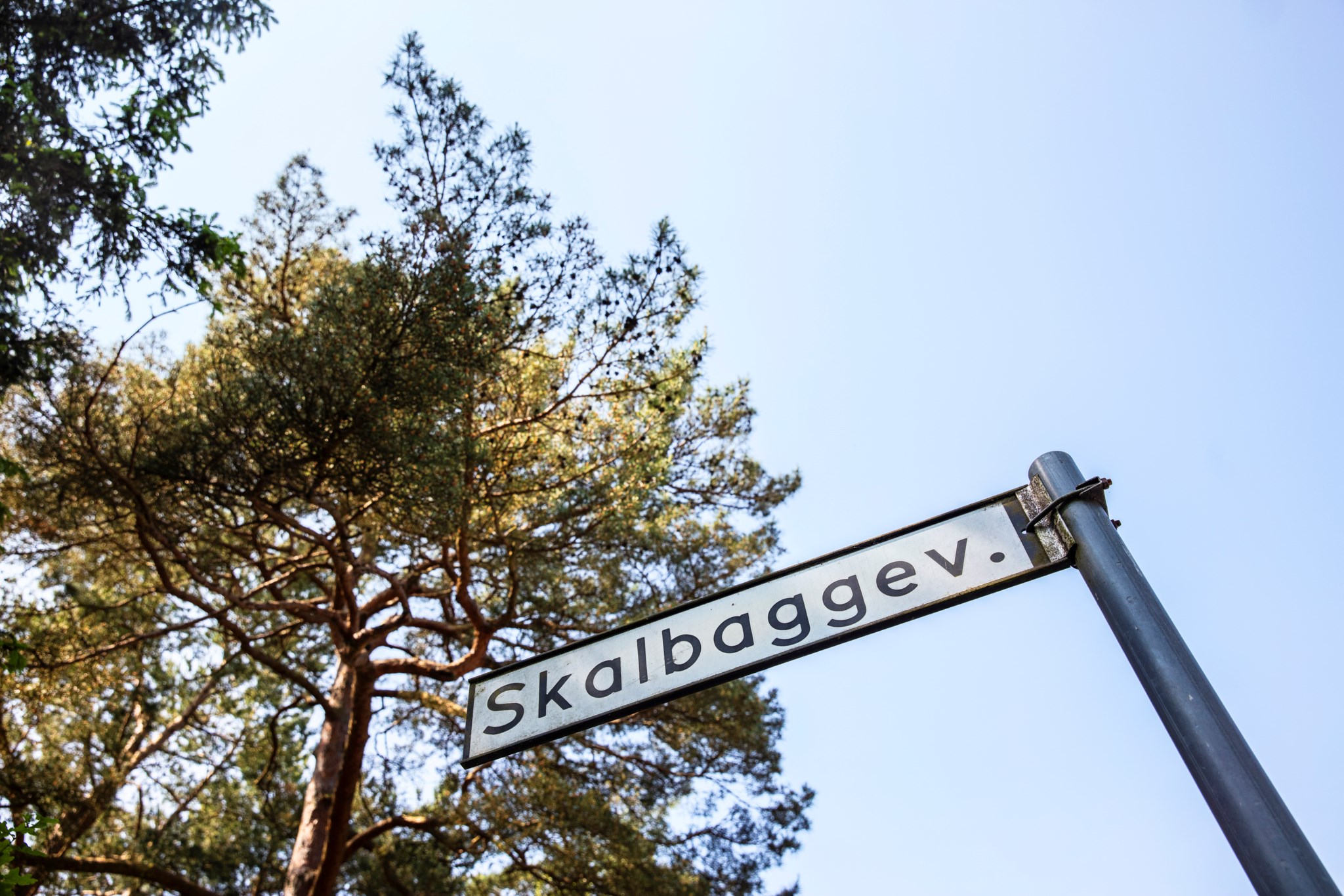  SKALBAGGEVÄGEN 1