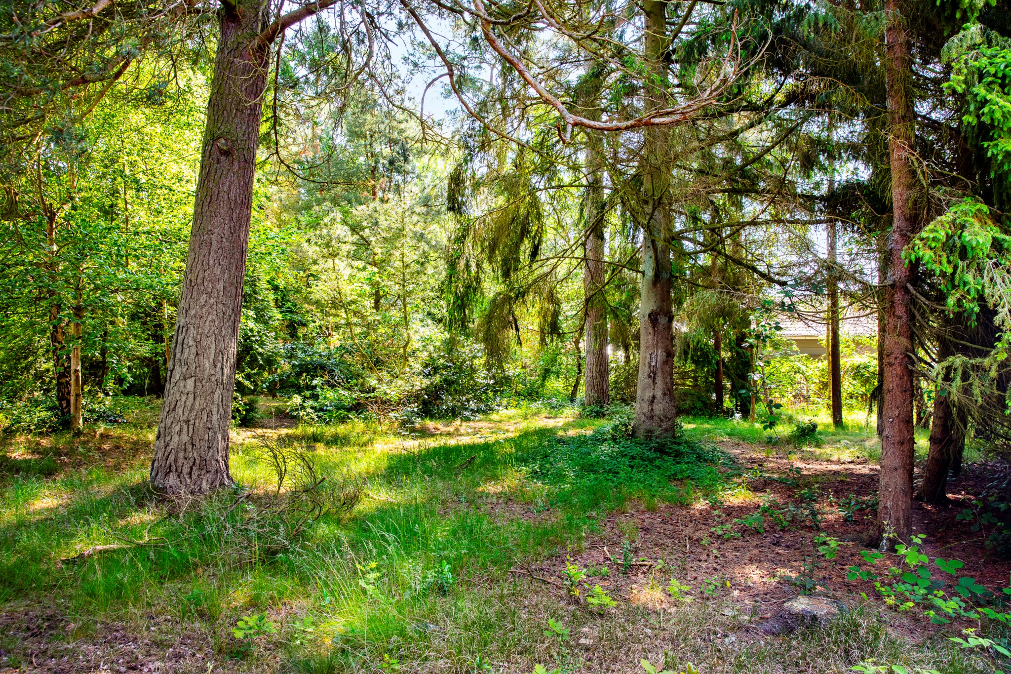  SKALBAGGEVÄGEN 1