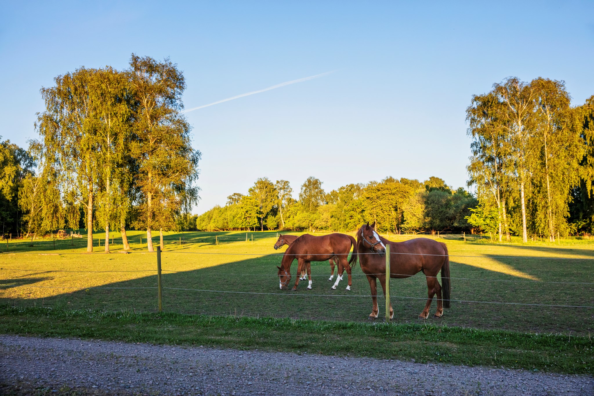 NORRA STURUPSVÄGEN 21-32