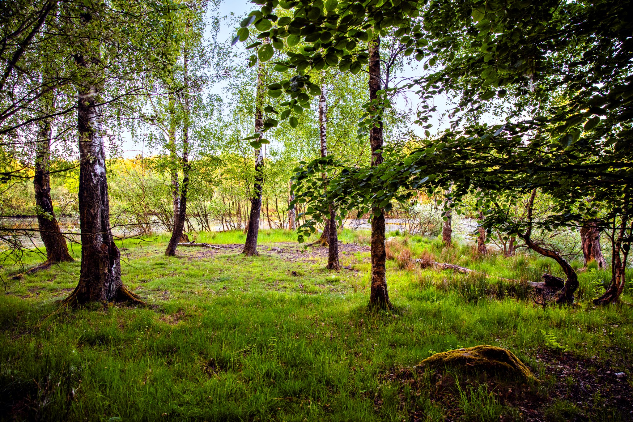  NORRA STURUPSVÄGEN 21-32