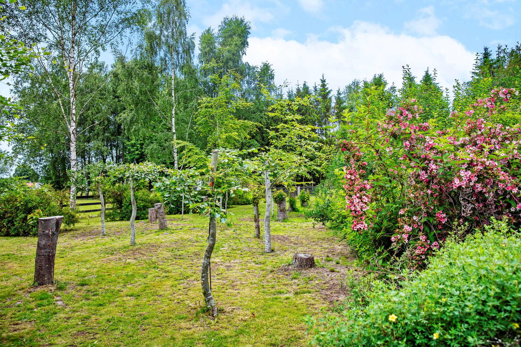  SJÖGRÄSVÄGEN 40
