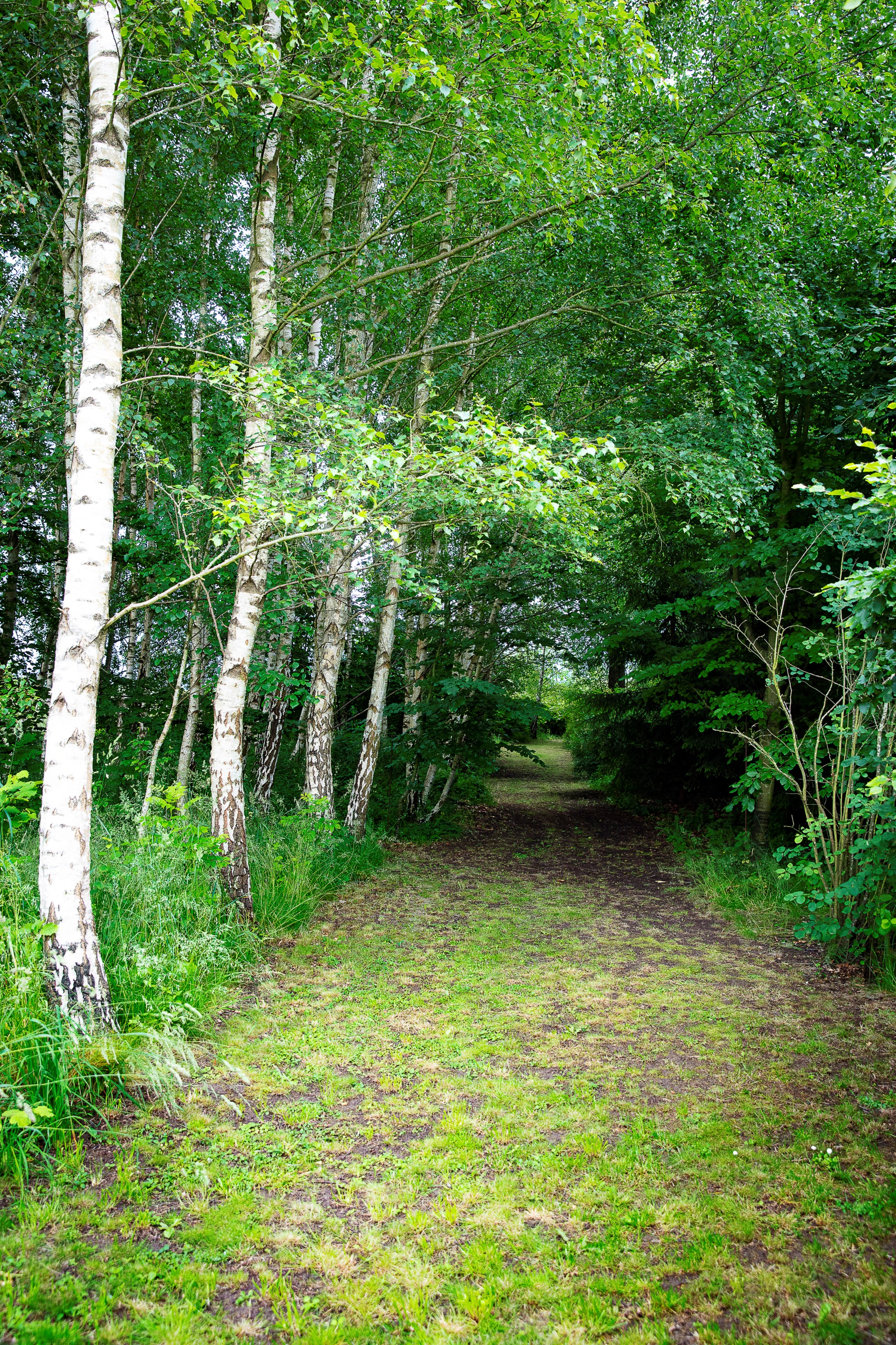  SJÖGRÄSVÄGEN 40