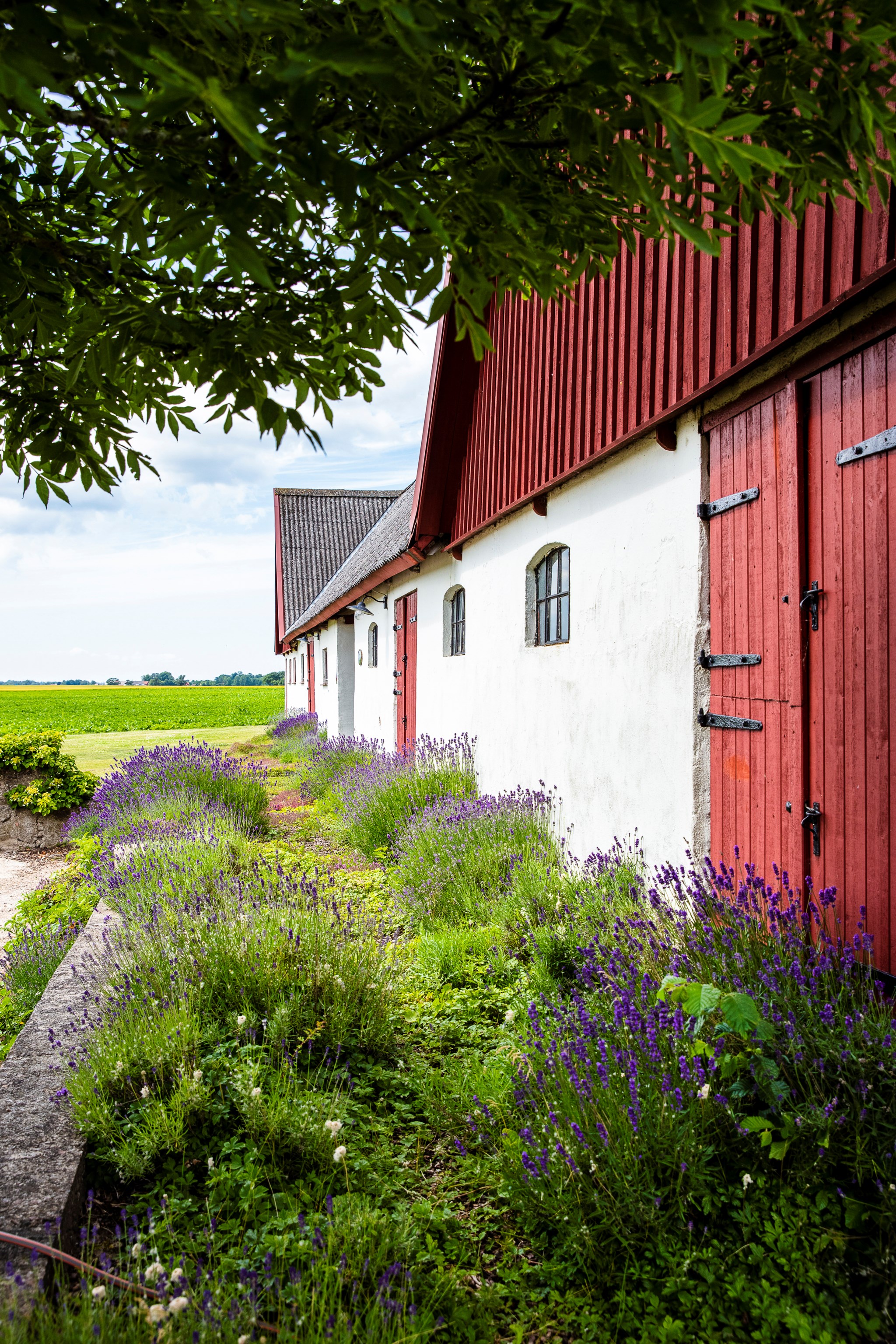  TRULSTORPS NORREGÅRD, TRULSTORPSVÄGEN 195-39