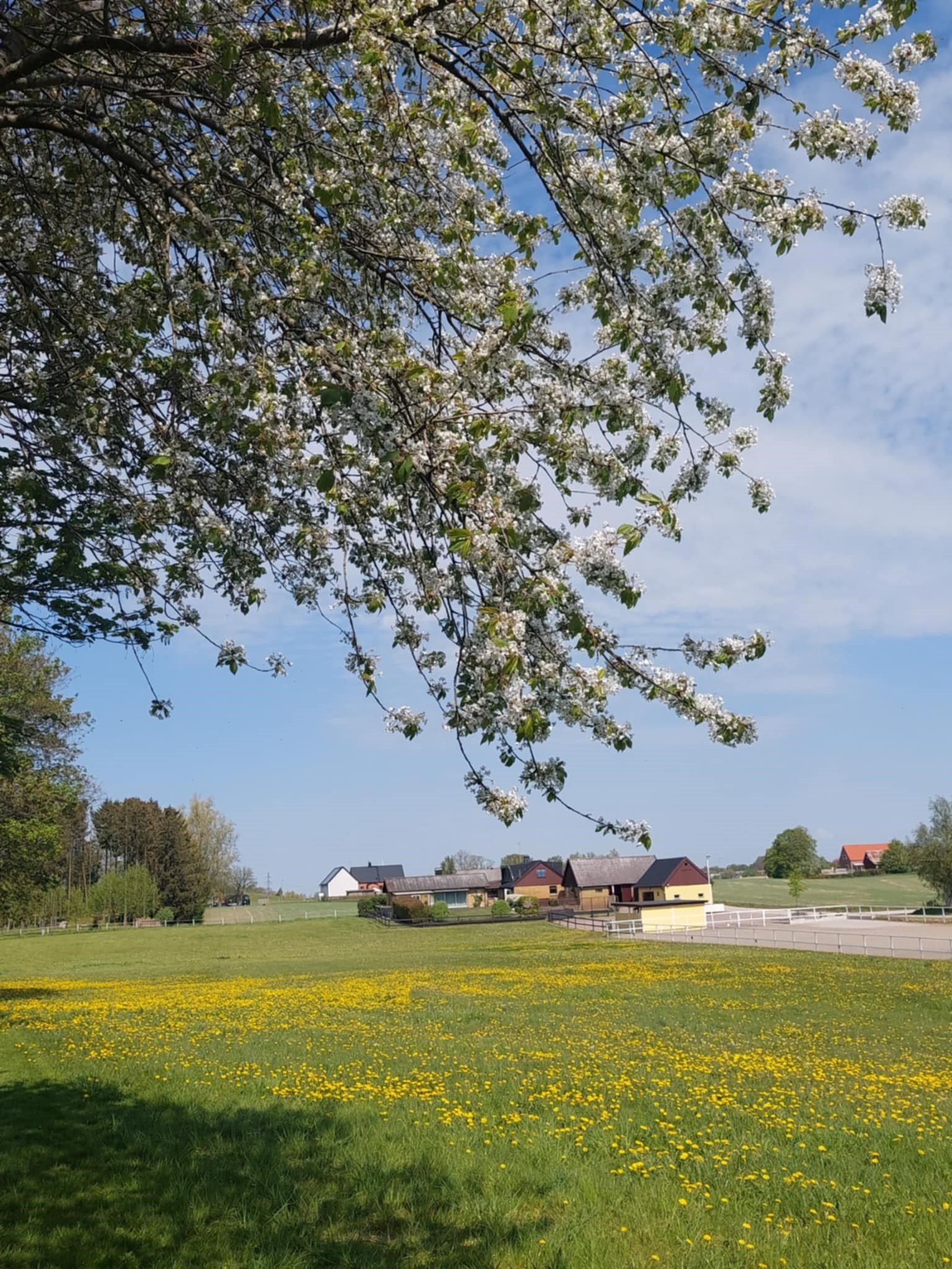  KRÅKEGÅRDSVÄGEN 20