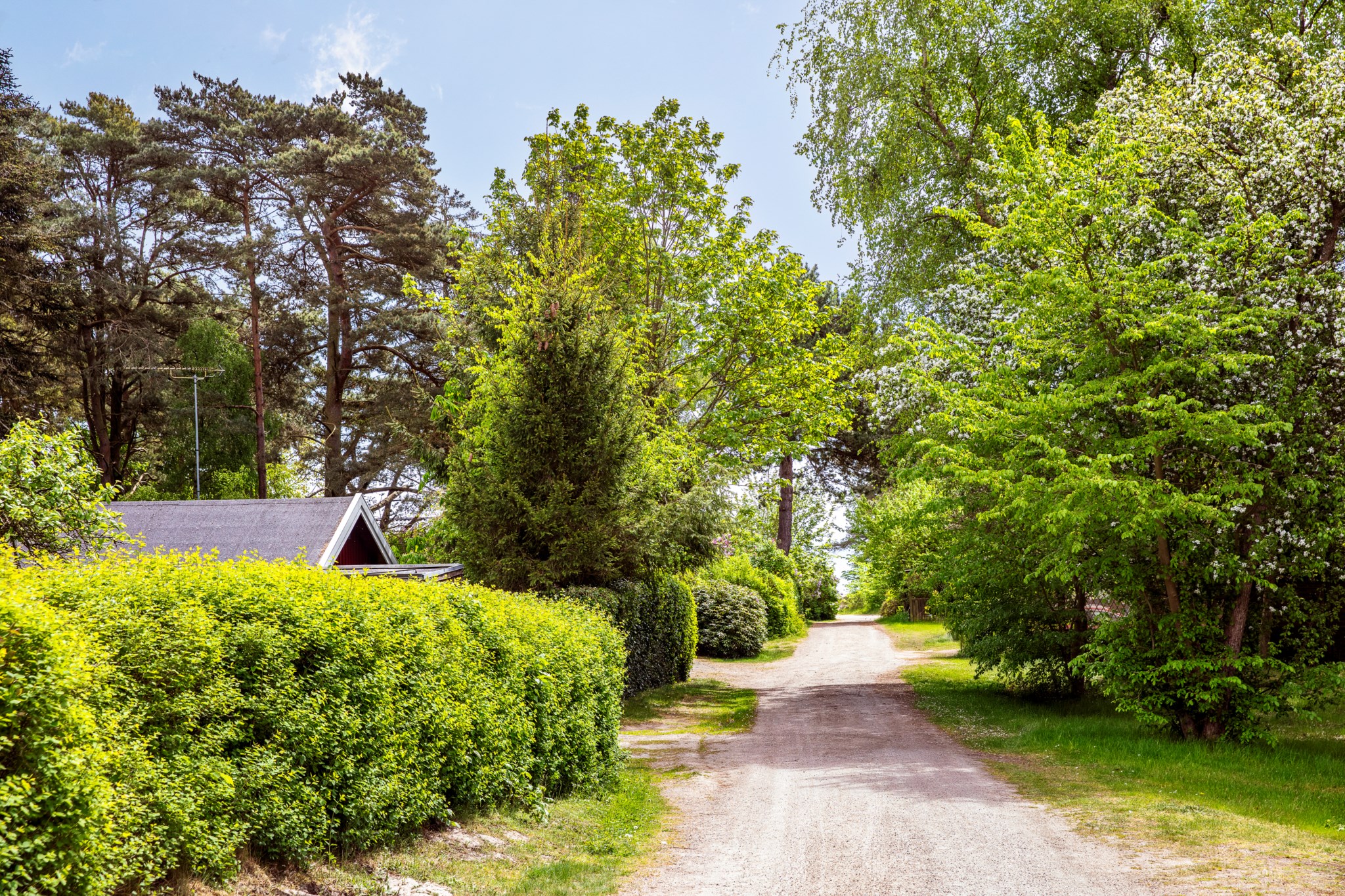  GRÄSHOPPSVÄGEN 5