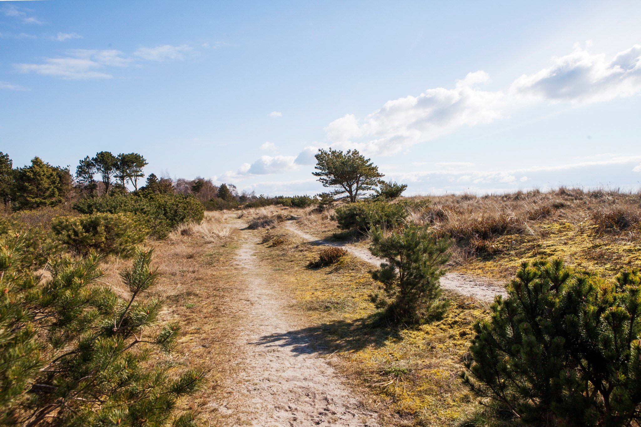  STRANDFYNDSVÄGEN 2