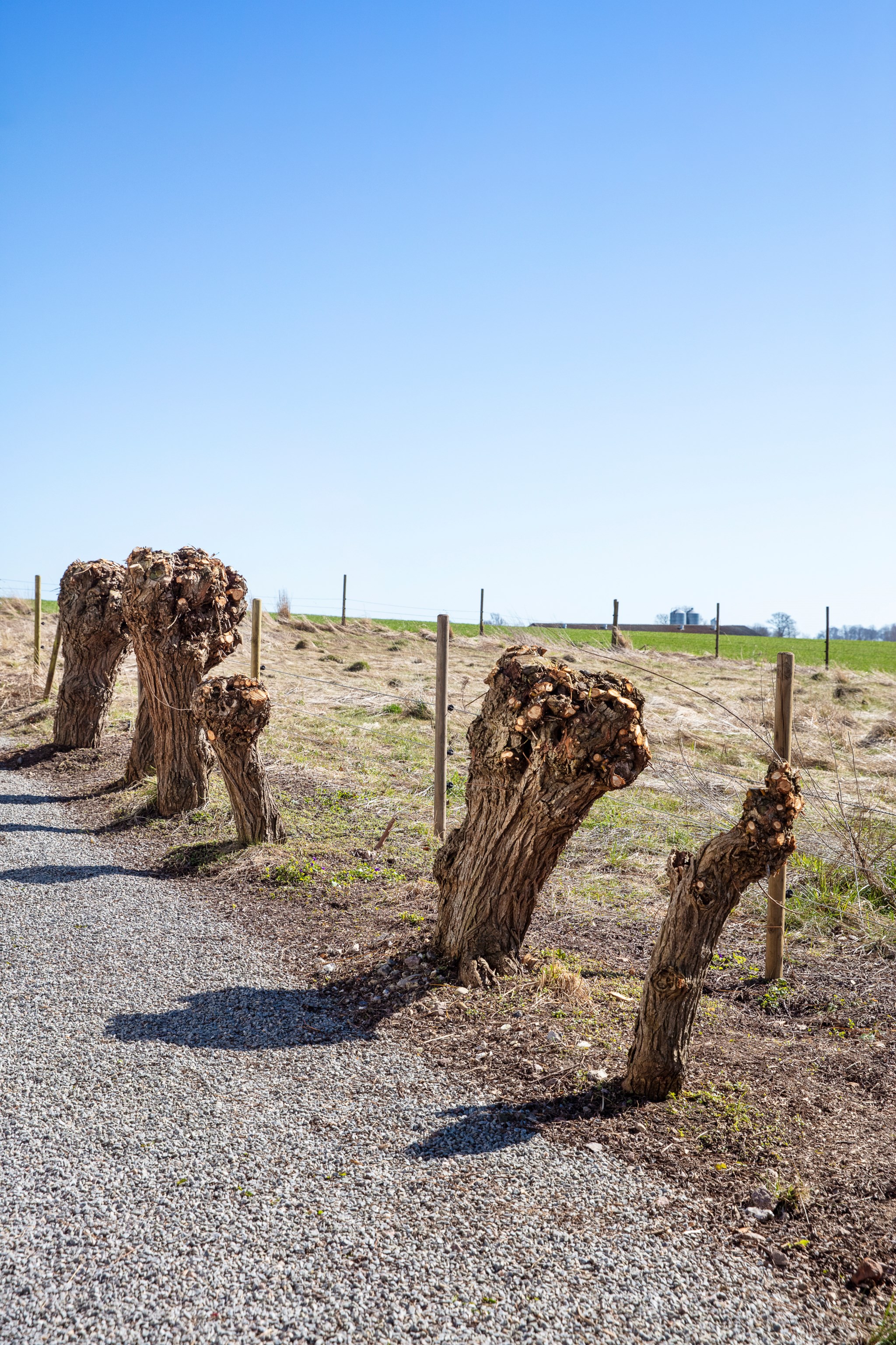  ÖSTRA VÄRLINGE BYAVÄG 22-0