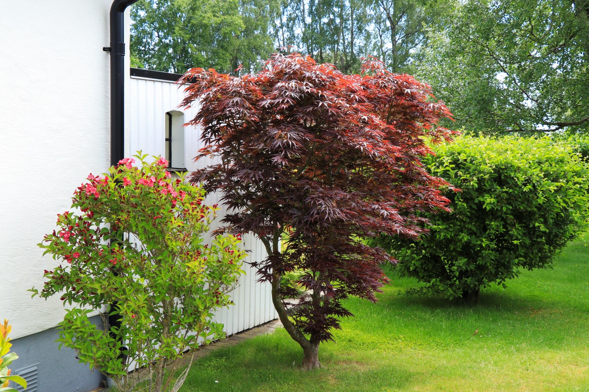  CEDERVÄGEN 60