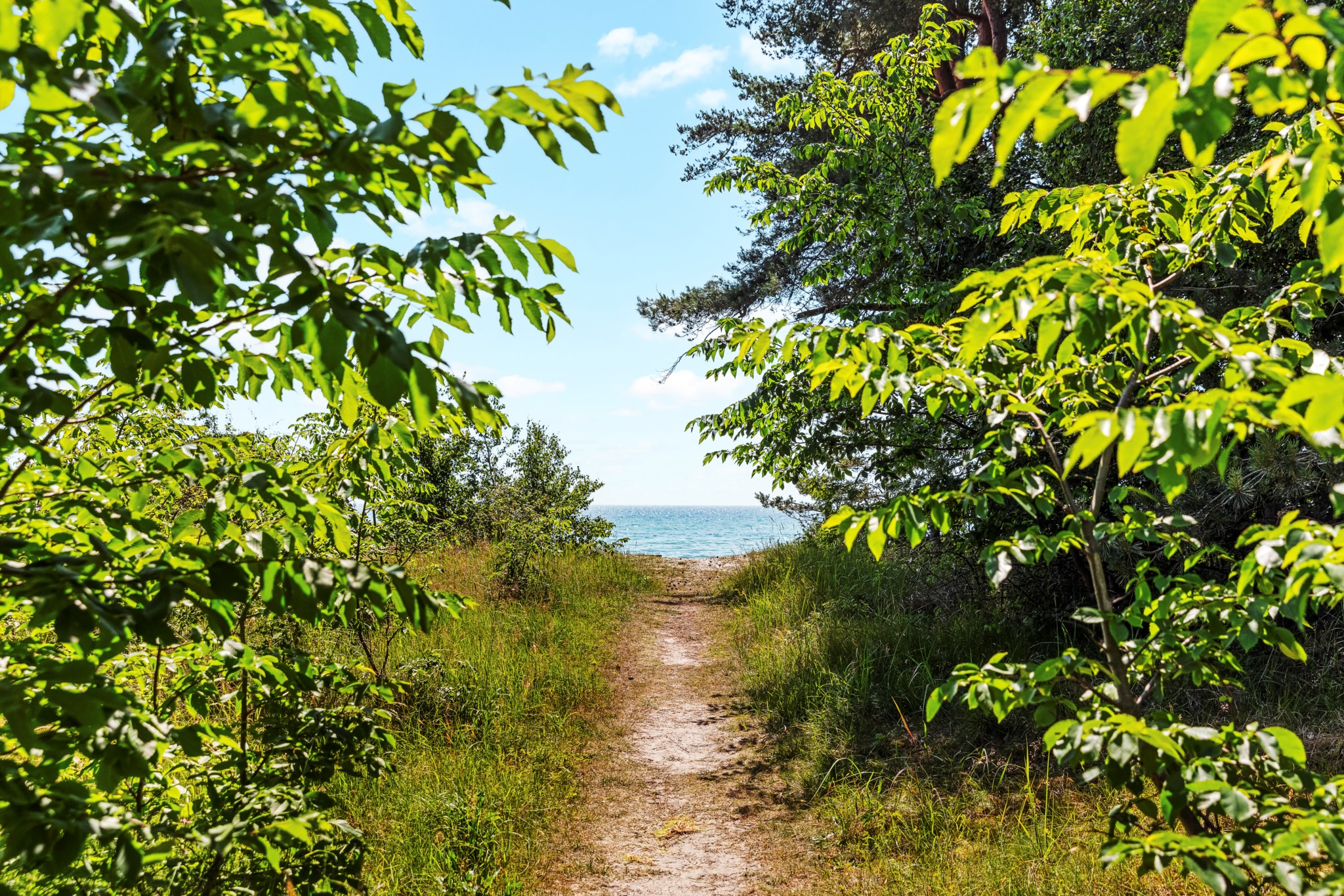  Gräshoppsvägen 8