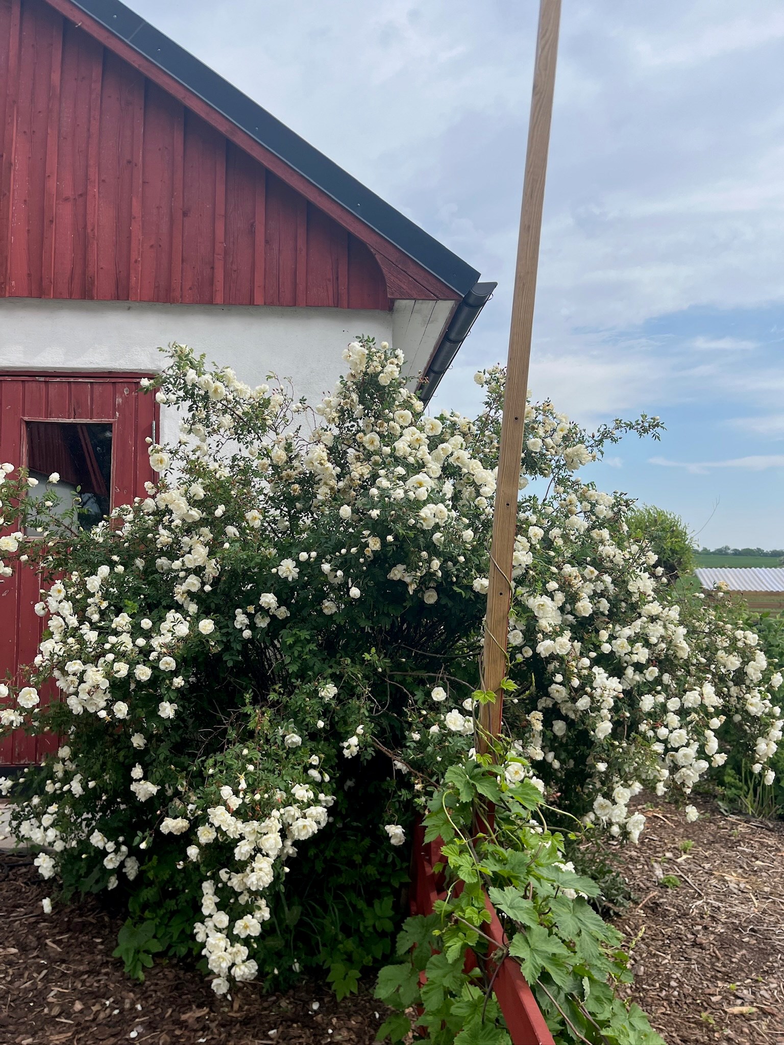  PÅLSVÄGEN 262