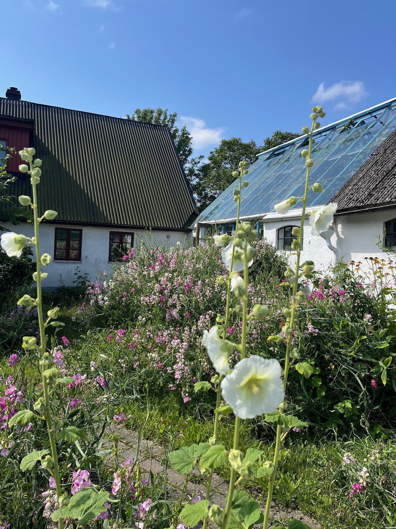  PÅLSVÄGEN 262