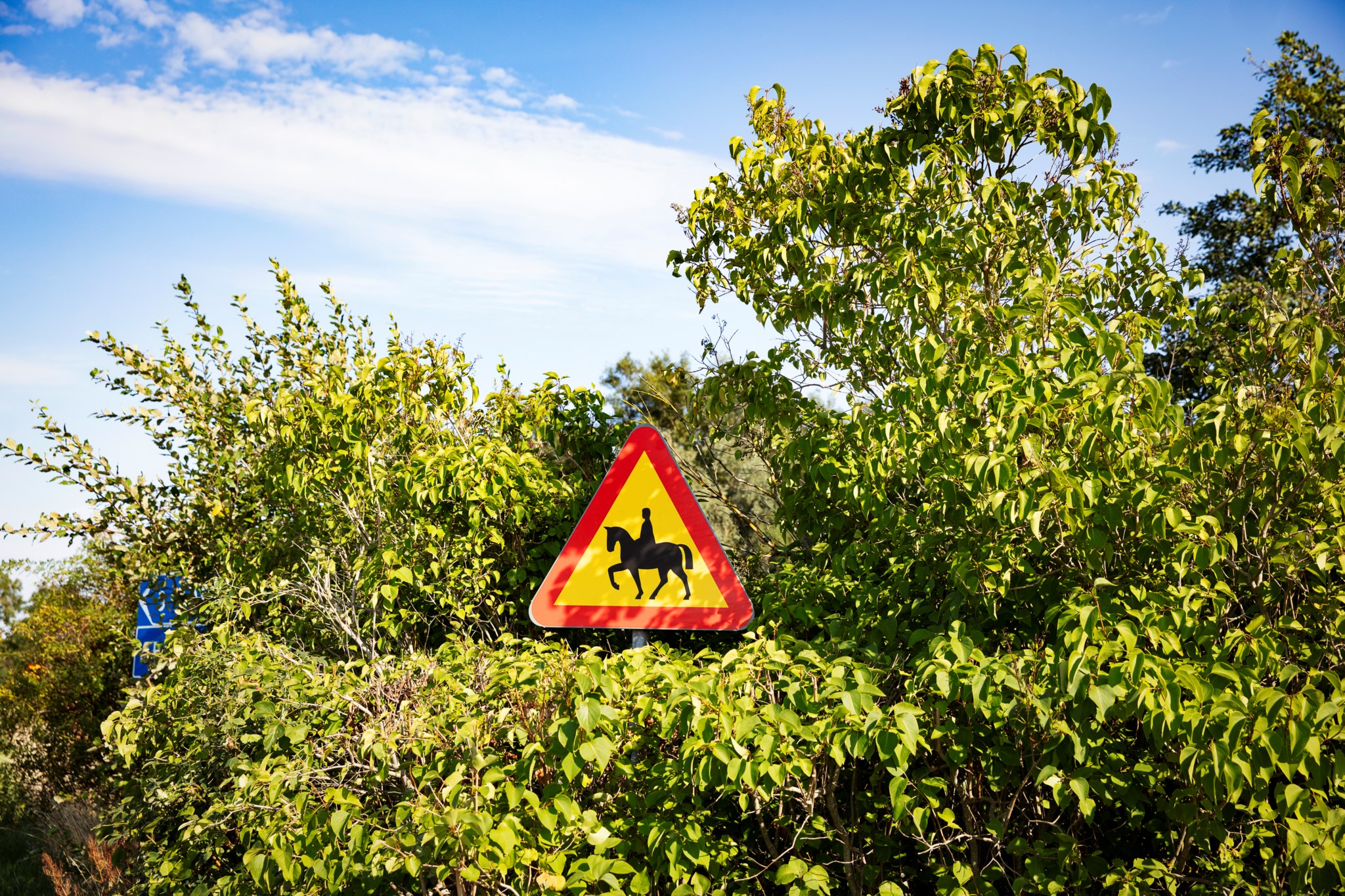  GAVELSBJÄRSVÄGEN 137