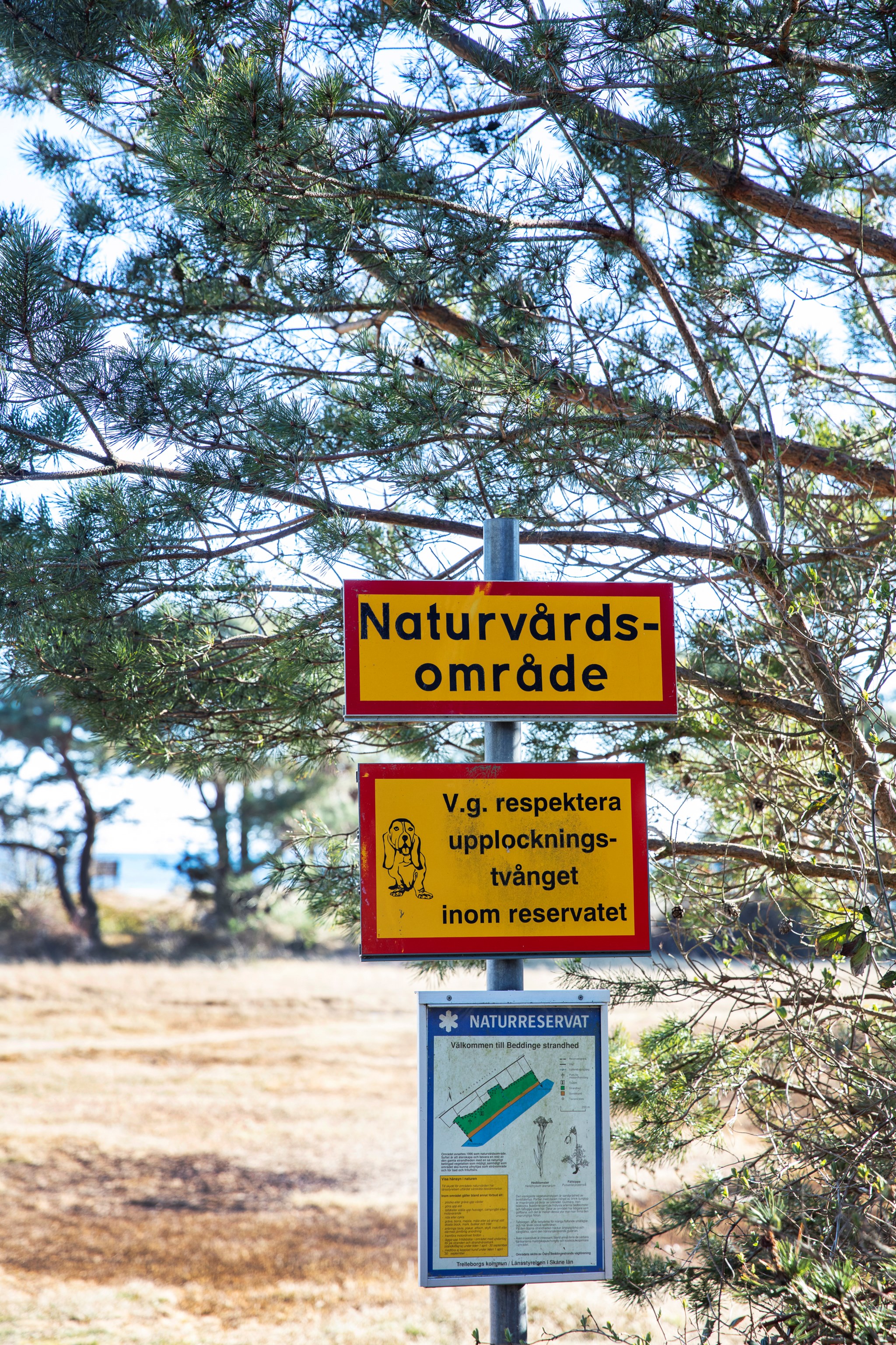  BEDDINGE STRANDVÄG 139 B